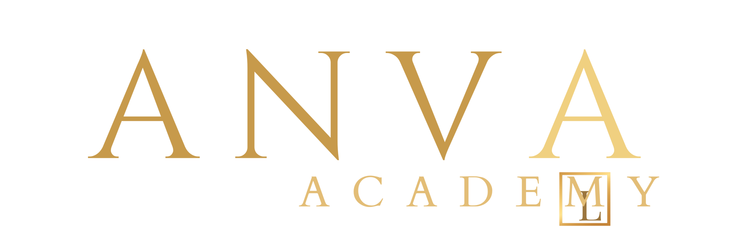 ANVA Academy