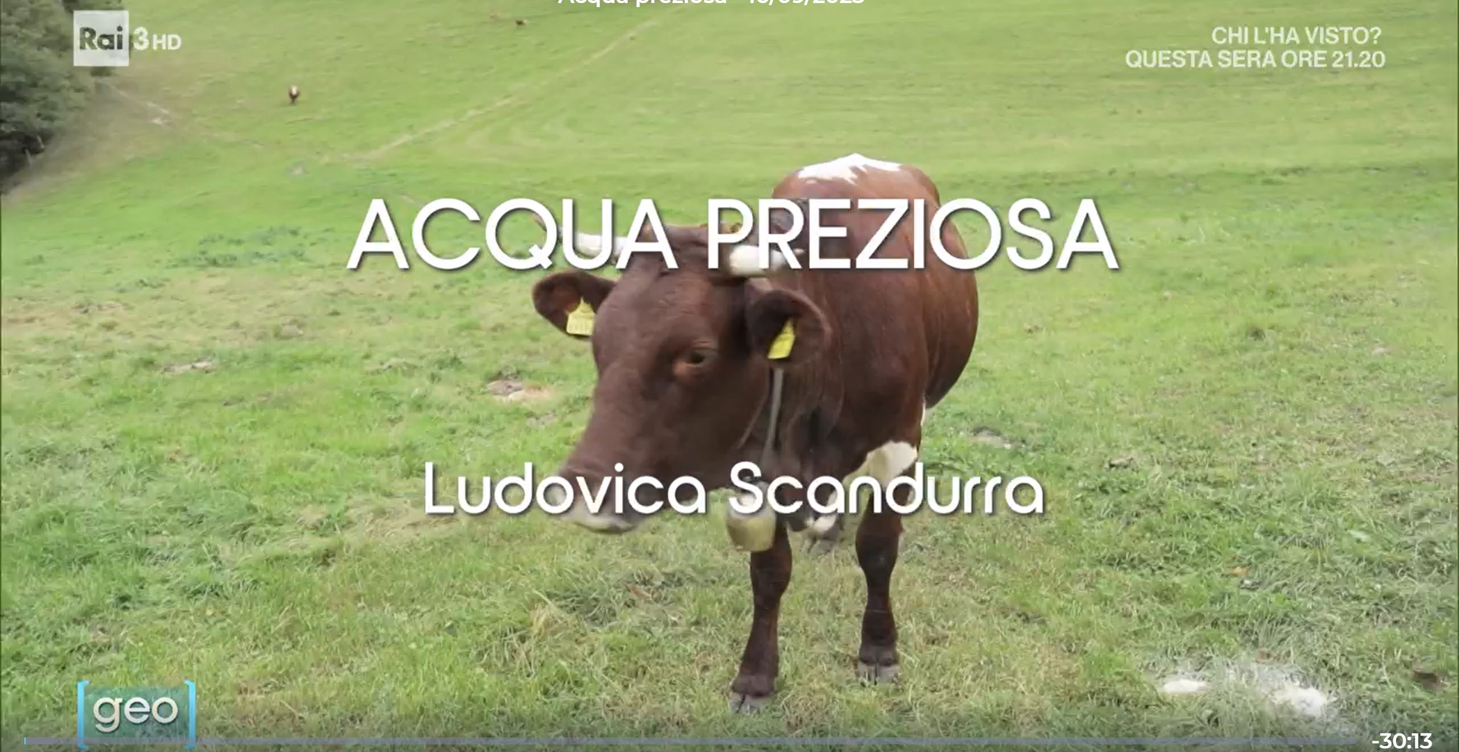 Acqua preziosa — Geo, Rai 3